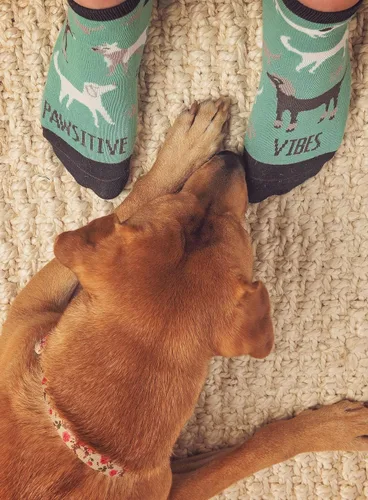 Vista 5 de Karma Ankle Socks - One Size Fits Most