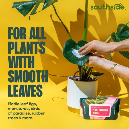 Vista 6 de Southside Plants - Toallitas de limpieza de plantas suaves a base de plantas para hojas brillantes y mejor fotosíntesis, sin perfume, extra grueso