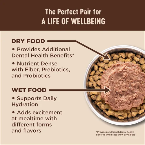 Vista 6 de Wellness CORE+ - Alimento seco para gatos adultos para interiores y exteriores, granos integrales, natural, salud digestiva con pollo y arroz