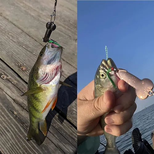 Vista 2 de Señuelos de Pesca Regalo de Broma para Hombres, Regalo de Elefante Blanco Día del Padre Pescador Pescadores Señuelos de Cucharas con Lentejuelas