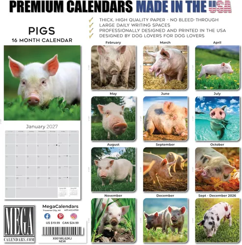 Vista 601 de Calendario de grises africanos 2025 2026 – Planificador mensual de pared de aves africanas – 12 x 18 pulgadas (abierto), calendario de pared