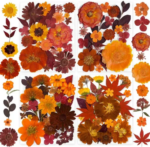 Vista 9 de 150 piezas de flores azules secas prensadas con pegatinas de mariposas - Juego de flores naturales reales de YouthBro para manualidades de resina