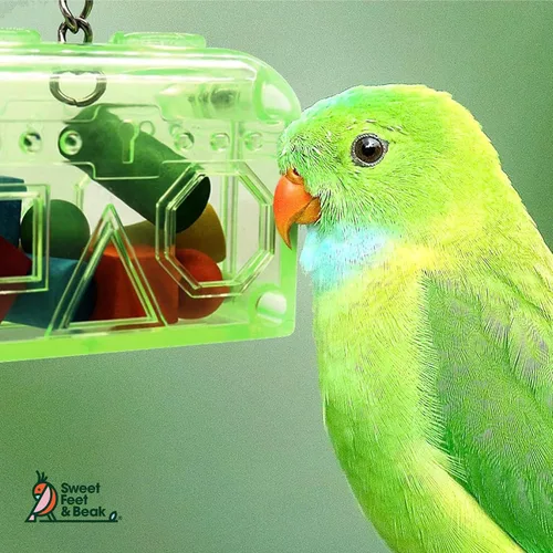 Vista 8 de Sweet Feet and Beak Cofre del tesoro grande o pequeño, juguete perfecto para jaula de pájaros, colorido, seguro, fácil de instalar, lavable