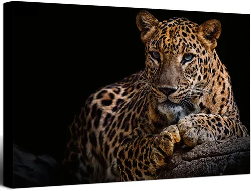 Vista 9 de Impresiones en lienzo de leopardo con fondo negro y vida silvestre dorada, arte de pared de leopardo y guepardo, ilustraciones para baño