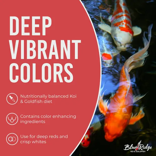 Vista 5 de Blue Ridge comida para peces Koi 2 libras - Fórmula de crecimiento mini para peces Koi, comida para peces dorados, comida premium para peces