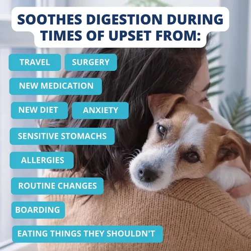 Vista 4 de Under the Weather Bland Diet para perros Fácil de digerir para perros enfermos Siempre esté listo Contiene electrolitos – Carnes naturales