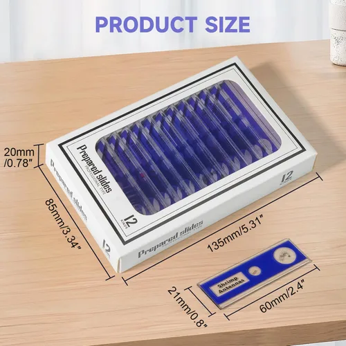Vista 5 de Jiusion 48Pcs Preparado Microscopio Diapositivas Espécimen Set