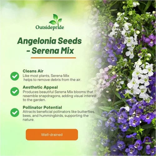 Vista 3 de Outsidepride Serena Mix Angelonia - Semillas de dragón para plantar, 10 semillas de flores perennes, aptas para polinizadores, tolerantes al calor