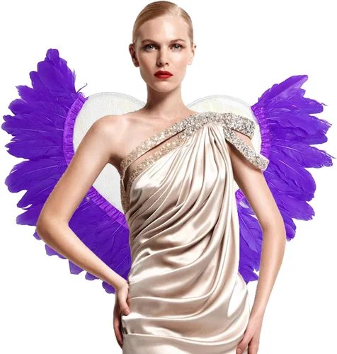 Vista 7 de Xuyuan Angel Wings for Girls, Fairy Wings for Women Girls, Transparent Cosplay Wings for Christmas Party Cosplay Photography Birthday Party Costume