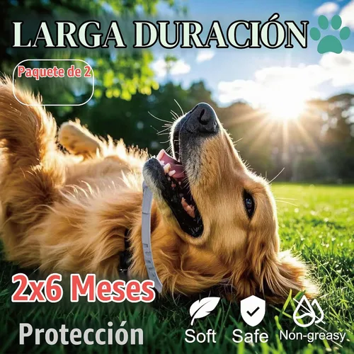 Vista 3 de Collar antipulgas para perros, tratamiento y prevención de pulgas