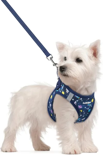 Vista 116 de rabbitgoo Arnés para perro de tamaño pequeño y juego de correa, chaleco Cachorros de manzana