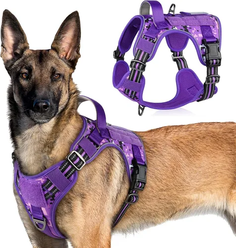 Vista 51 de rabbitgoo Arnés táctico para perros pequeños, chaleco de servicio militar sin tirones con asa y Molle, de fácil control para entrenar y caminar
