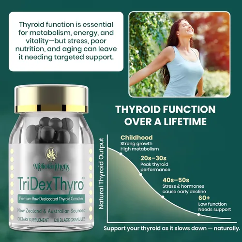 Vista 4 de Suplemento tiroideo – TriDexThyro Complejo tiroideo desecado crudo 375 mg con bovino, porcino y ovino – 120 cápsulas para mujeres y hombres