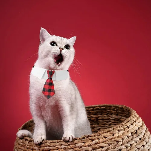 Vista 6 de Collar ajustable para perros pequeños, medianos y grandes, corbata de cumpleaños para perros (mediano, cuadros rojos/negros)