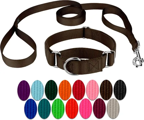 Vista 16 de Country Brook Design - Collar de perro de nailon Martingale y correa de doble asa-Negro-S
