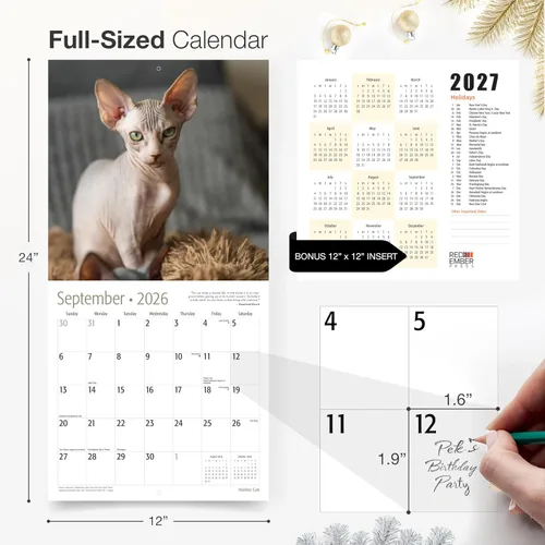 Vista 5 de RED EMBER Hairless Cats - Calendario de pared 2026 de 12 meses, 12 x 24 pulgadas, abierto, papel grueso y resistente, para regalo, calendario 2026
