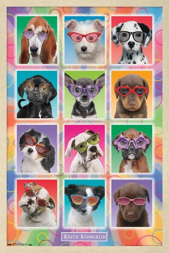 Vista 7 de Trends International Keith Kimberlin - Póster de pared con diseño de cachorros, gafas de sol, 14.725 x 22.375 pulgadas, versión enmarcada de madera