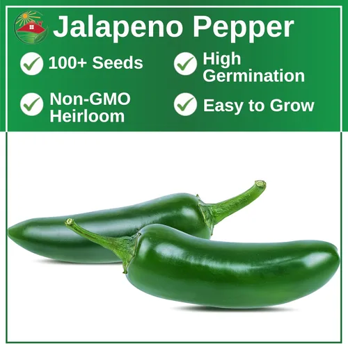 Vista 2 de TKE Farms & Gardens - Semillas de pimiento jalapeño para plantar, más de 100 semillas tradicionales sin OMG, huerto de interior y exterior