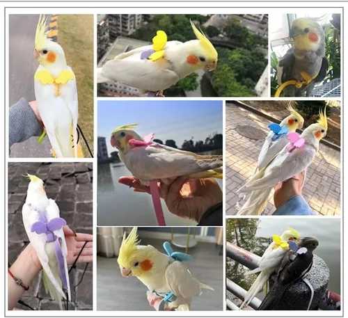 Vista 7 de 3 piezas de arnés volador loro traje mascota pájaro al aire libre entrenamiento cuerda cacatúa suministros guacamayo accesorios cosas para budgie