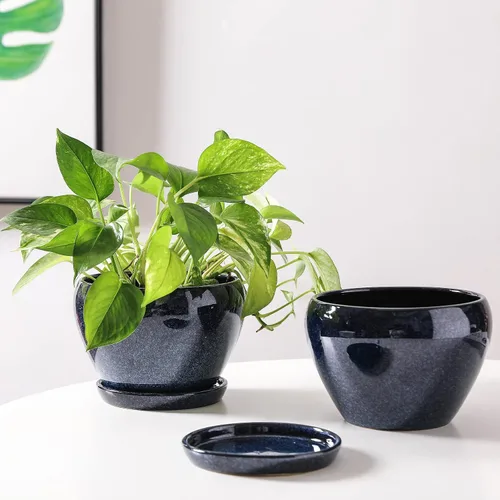 Vista 6 de vicrays Macetas de cerámica para plantas de interior - Maceta de 6.5 pulgadas con orificio de drenaje y platillo para suculentas, orquídeas, flores