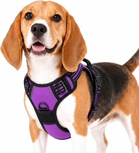 Vista 4 de Funfox Arnés para perro sin tirones, chaleco ajustable para mascotas con asa de control y clip frontal, diseño reflectante para perros pequeños