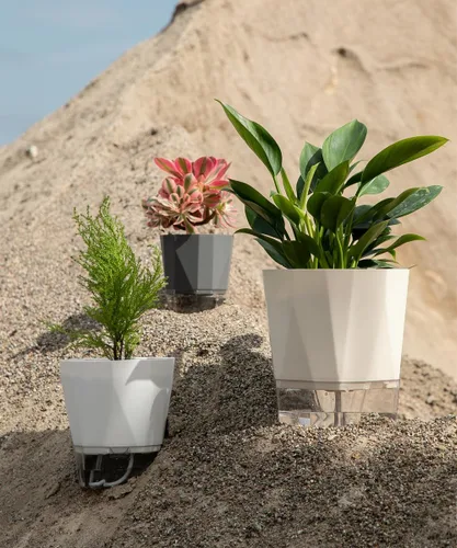 Vista 6 de Paquete de 6 macetas de plástico de 5 pulgadas con autorriego para interiores, modernas macetas decorativas para suculentas, aloe, hierbas, violetas