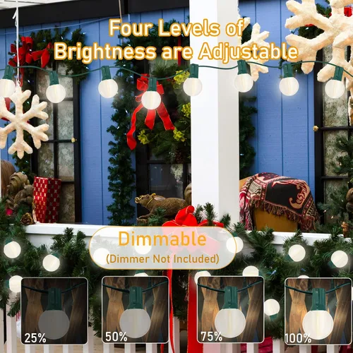 Vista 4 de Guirnalda de luces LED G40 para exteriores de 25 pies, luces de Navidad con forma de globo esmerilado con 27 (2 de repuesto) bombillas redondas