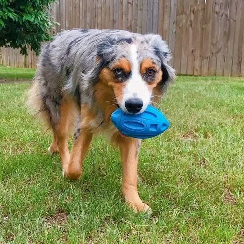 Vista 7 de EASTBLUE Juguetes para perros con sonido para masticadores agresivos: Bola de goma para cachorros con chirriador, juguete para mascotas casi