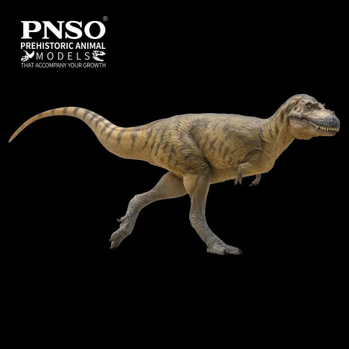 Vista 5 de PNSO Modelos de dinosaurios prehistóricos (72 Wally The Albertosaurus)