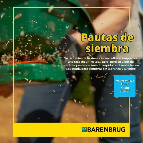 Vista 6 de Barenbrug Horsemaster Premium - Mezcla de semillas de pasto (bolsa de 25 libras)