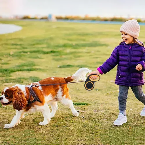 Vista 7 de Correa retráctil para perro de 16 pies, sin enredos de 360°, resistente para perros de hasta 66 libras con mango antideslizante, correa de paseo