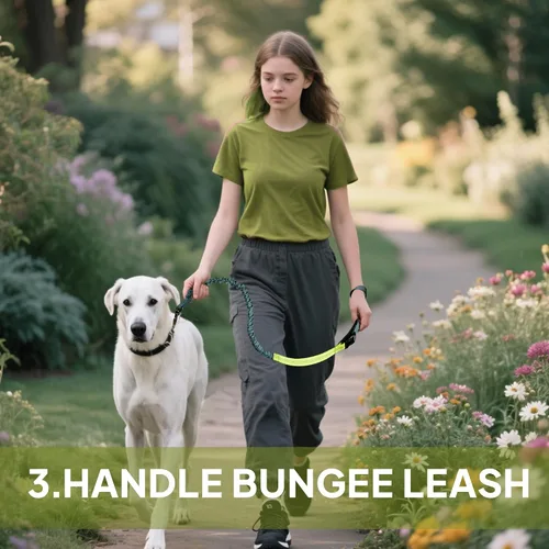 Vista 8 de Correa de perro manos libres con bolsa de cremallera, correa de cintura para pasear perros, correr y senderismo, cinturón ajustable con asa, diseño