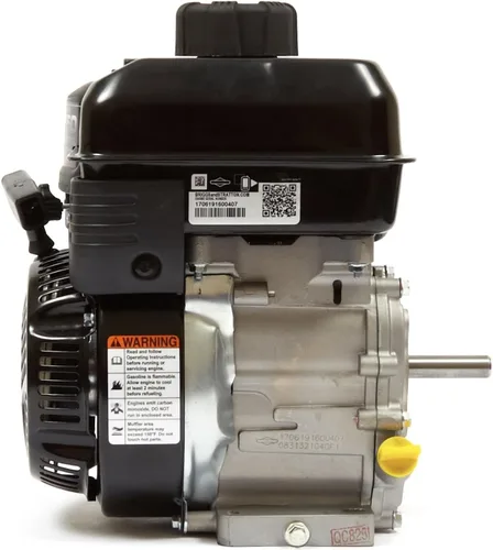 Vista 3 de Briggs and Stratton 83132-1040-F1 550 Series 127cc Motor