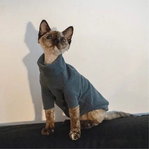 Vista 2 de Ropa de gatos sin pelo, camiseta de algodón, chaleco transpirable para primavera y otoño, ropa de gato con cuello alto para Sphynx, Cornish Rex, Gris