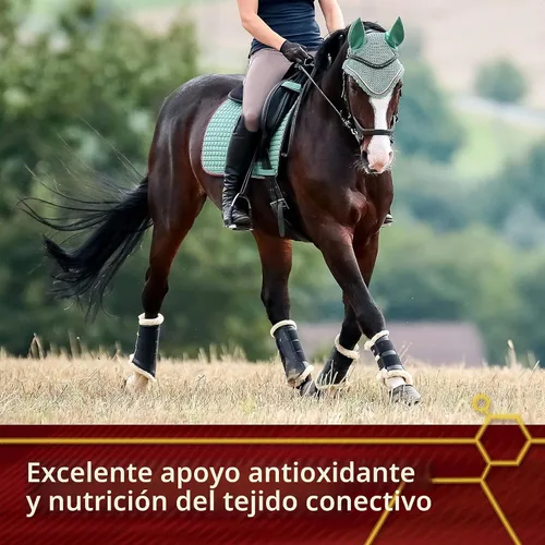 Vista 4 de Vita Flex Suplemento antioxidante Pro Pure C, 2 libras, suministro para 128