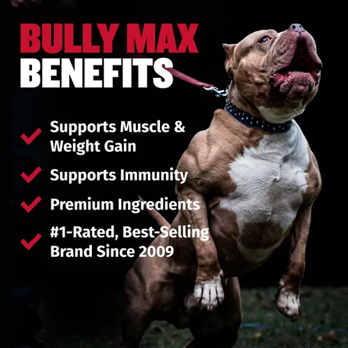 Vista 2 de Comprimidos masticables Bully Max 2 en 1 para construcción muscular para perros - Vitaminas y suplementos para cachorros y perros, suplementos