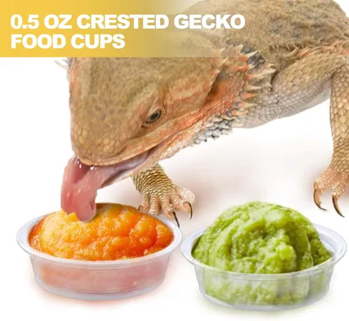 Vista 6 de Vasos de alimentación de agua y alimentos con cresta de Gecko de 0.5 onzas, cuencos de alimentación de reptiles, plato de comida de repuesto