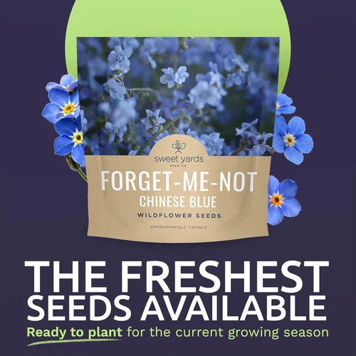 Vista 2 de Chinese Forget Me Not Wildflower Seeds - Paquete a granel de 1 onza - Más de 5,500 semillas polinizadas abiertas - Blue Cynoglossum amabile