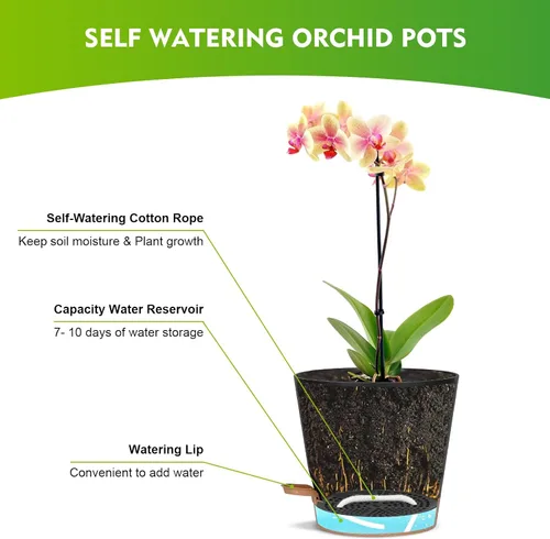 Vista 4 de JGB 4 macetas de orquídeas con agujeros, cada una de 5, 6, 7 y 8 pulgadas, macetas de orquídeas de riego automático y macetas de plástico Negro