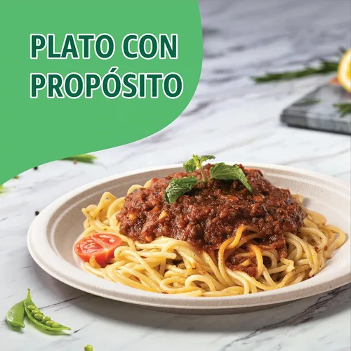 Vista 4 de Platos de Papel Hondos, Platos de Cena Desechables Resistentes [Paquete de 125] Platos de 9 Pulgadas - 100% Compostables Ecológicos, Bagazo de Caña