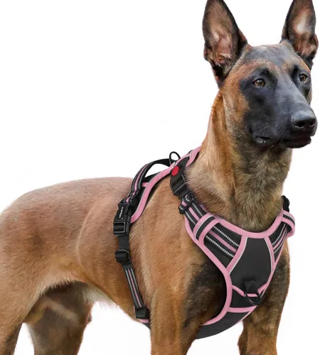 Vista 26 de Rabbitgoo - Arnés para perro de tamaño pequeño, arnés para mascotas sin tirones con 3 hebillas, chaleco acolchado suave ajustable con mango