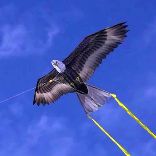 Vista 6 de Wind n Sun - Cometa de nailon con forma de águila rapa, 70 pulgadas