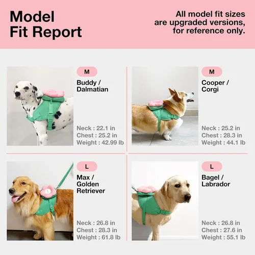 Vista 5 de VETRESKA Flora - Juego de arnés para perro, correa y collar, arnés de chaleco para perro sin tirones para caminar y entrenar, ajustable, fácil