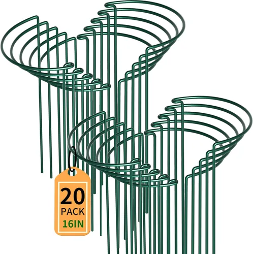 Vista 14 de TCBWFY Paquete de 10 estacas de soporte para plantas de peonía, 10 pulgadas de ancho x 16 pulgadas de alto, jaulas de peonía de alta resistencia