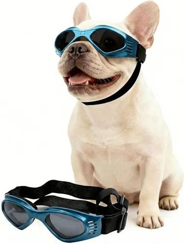 Vista 12 de Gafas de sol para perros de raza media, lentes reemplazables transparentes/negras, protección UV para perros medianos, protección ocular de perro