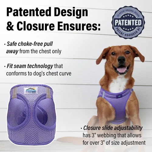 Vista 2 de Doggie Design Arnés para perro – Arnés sin estrangulamiento para mascotas, chaleco para perro, malla de poliéster, diseño simple, chaleco