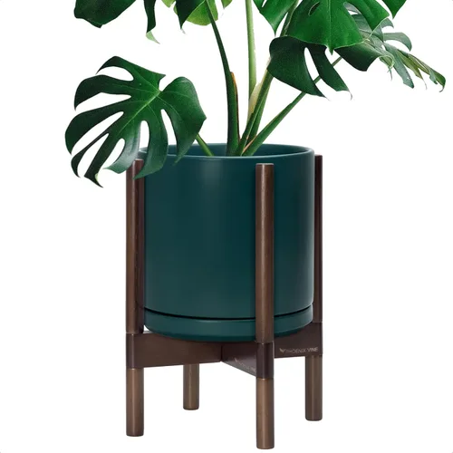 Vista 83 de D'vine Dev Maceta de cerámica con soporte de ébano – Maceta redonda moderna de 8 pulgadas con soporte para maceta de madera, color negro, 55-B-M-2