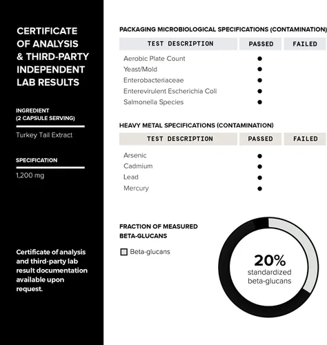 Vista 4 de Toniiq Cápsulas de hongos de cola de pavo - Ultra alta potencia con 20% de beta-glucanos - altamente concentradas - Probado en laboratorio