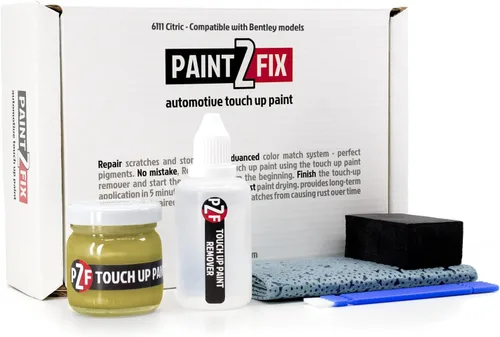 Vista 28 de 6061 - Kit de pintura de retoque satinado blanco para reparación de arañazos y virutas Bentley, 0.84 onzas líquidas (0.8 fl oz)