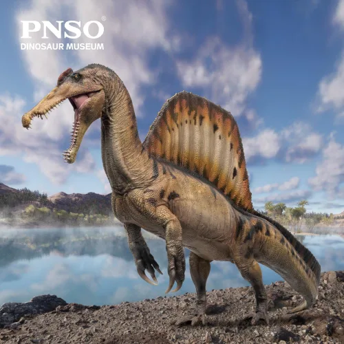 Vista 2 de Serie de museos de dinosaurios PNSO (AYMEN El Spinosaurus, modelo de arte científico de escala 1:35) 12.8" Spinosaurus Exhibit Set - Skull Fossil